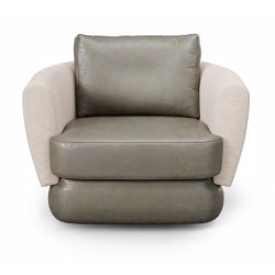 Fabric: Pegaso 2450 / Nodino 06 