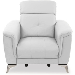 S1 skins: Leather S1 24 Kolor tapicerki: shades of white 