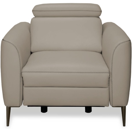 Dianthus armchair 1RPea2 Vero