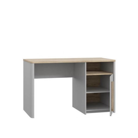 Surfinio desk SFNB211-M378 Forte