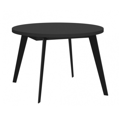 Folding table TBLT7001-Z13M-904 Forte